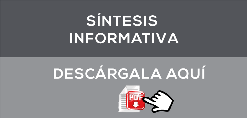 sintesis-informativa