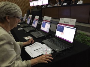 Fotos  (11)