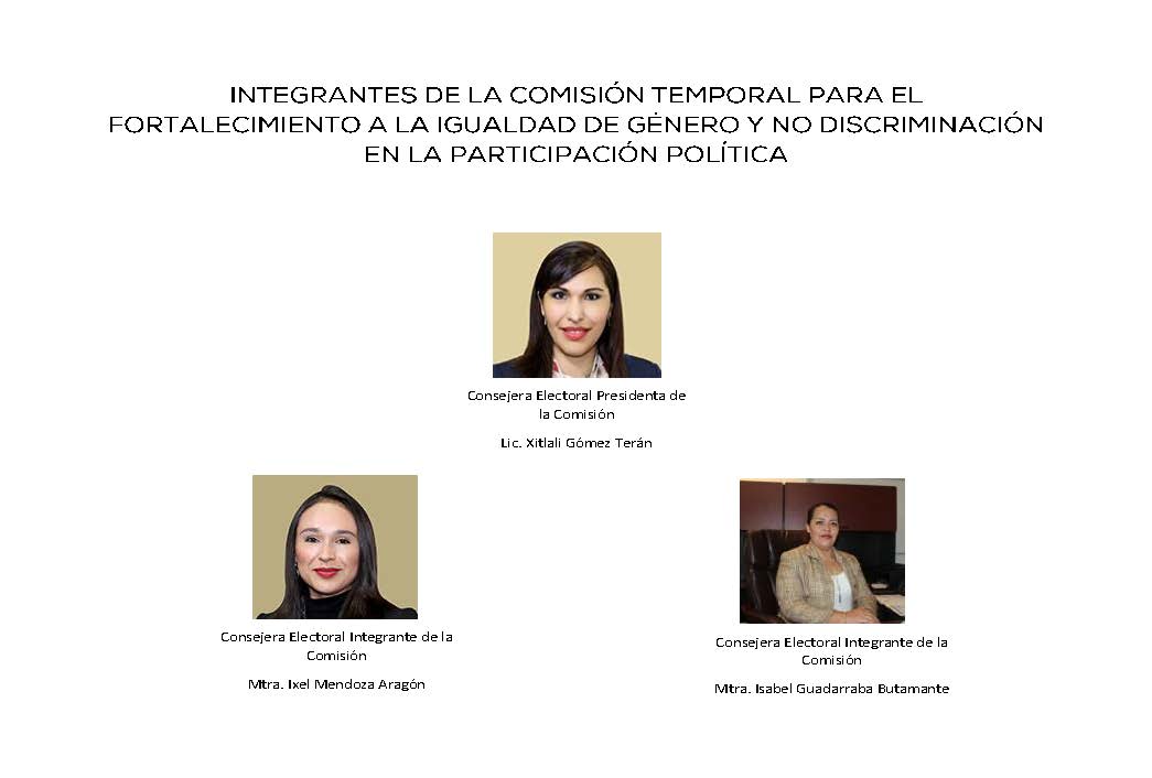 INTEGRANTES DE LA CETIG